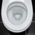 16 Everyday Items Dirtier Than a Toilet Seat