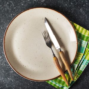 empty plate with fork knife and napkin shot from above