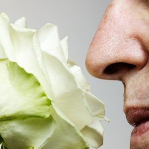 Senior man smelling rose, close-up