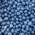 I Ate Blueberries Every Day for a Weekâ€”Here's What Happened